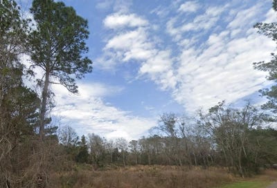 /international/us/100-n-cypress-street-other-florida-fl-110100832888/