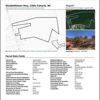 /international/us/0-elizabethtown-highway-roseboro-nc-110084085441/