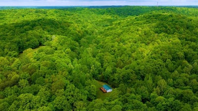 /international/us/1355-telephone-tower-road-fordsville-ky-110109420160/
