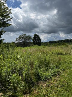 /international/us/1998-minor-road-west-liberty-ky-110101047103/