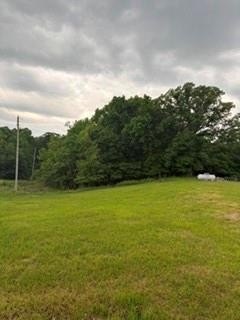 /international/us/duck-circle-lot-2291-2183-gallatin-mo-110108093723/