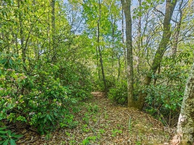 /international/us/-19-sleepy-hollow-lane-waynesville-nc-110108531811/