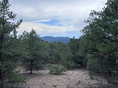 /international/us/lot-62-upper-pinabete-questa-nm-110100869198/