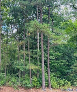 /international/us/11400-brooks-st-greenwood-va-110119628105/