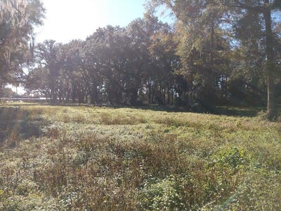 /international/us/1107-smith-avenue-thomasville-ga-110096688280/?lang=zh-tw