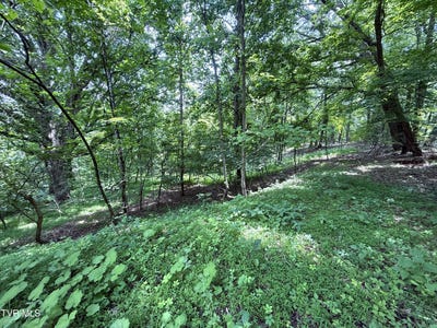 /international/us/5-74-acres-bailey-cemetery-road-tazewell-tn-110100044495/?lang=zh-tw