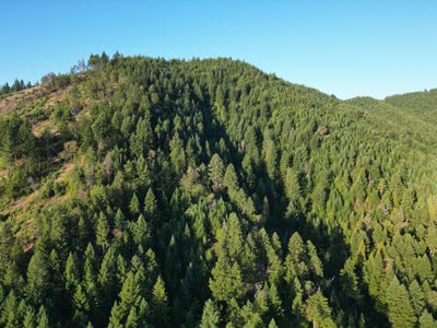 /international/us/0-east-evans-creek-rd-central-point-or-110102087420/