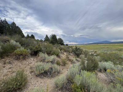 /international/us/clackamas-street-sprague-river-or-110106156843/