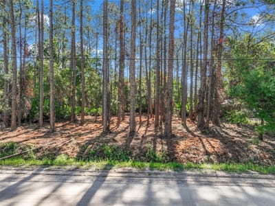 /international/us/2679-forest-park-street-bunnell-fl-110108416010/