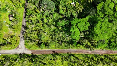 /international/us/forest-rd-pahoa-hi-110110368799/