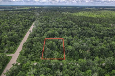 /international/us/4001-evergreen-avenue-bunnell-fl-110100518191/