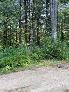 /international/us/la-flure-lane-keeseville-ny-110094344026/