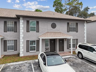 /international/us/5226-sunridge-palms-drive-tampa-fl-110100679263/