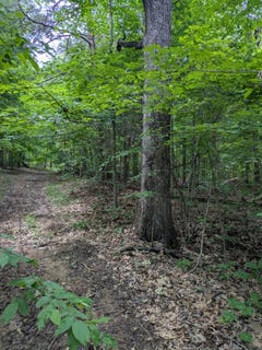 /international/us/0-coal-creek-road-crofton-ky-110099920093/
