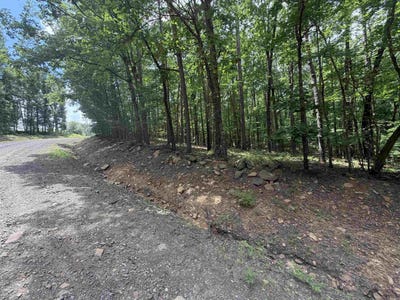/international/us/greentree-road-clinton-ar-110108780407/