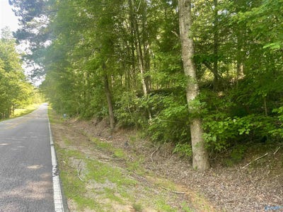 /international/us/11810-county-road-9-west-blocton-al-110100473622/?lang=zh-cn