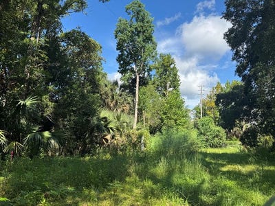 /international/us/254-8th-st-apalachicola-fl-110101328852/?lang=zh-cn