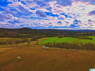 /international/us/hinds-road-lot-0-blountsville-al-110119446997/