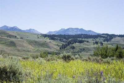 /international/us/sun-west-ranch-lot-13-cameron-mt-110101454199/