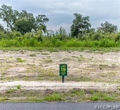 /international/us/1459-oxford-preserve-trail-oxford-fl-110108820698/