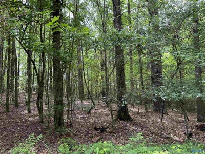 /international/us/lot-1-township-road-rainbow-city-al-110100870726/?lang=zh-tw