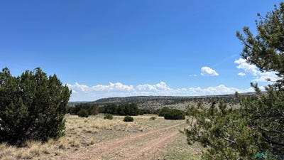 /international/us/141-deer-circle-road-quemado-nm-110101544230/