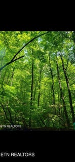 /international/us/watson-hollow-rd-speedwell-tn-110105334569/