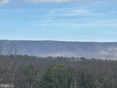 /international/us/121-scotch-pine-lane-wardensville-wv-110106554340/