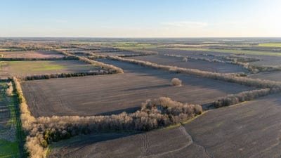 /international/us/000-country-road-3240-ben-franklin-tx-110098135475/