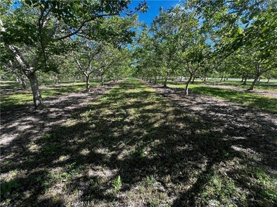 /international/us/4180-county-203-road-hamilton-city-ca-110104292276/