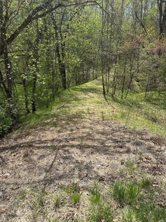 /international/us/gladys-road-altavista-va-110107174004/