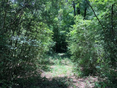 /international/us/hwy-48-lot-1-sandy-hook-ms-110103657458/