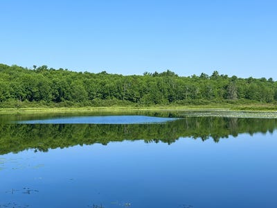 /international/us/00lowerfal-lower-falls-road-orland-me-110119334453/