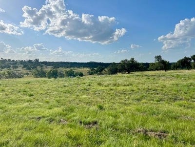 /international/us/badger-ridge-rd-lot-25-fredericksburg-tx-110101270873/