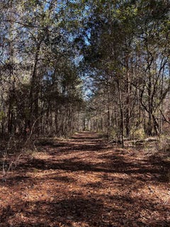 /international/us/hosford-highway-quincy-fl-110104906413/