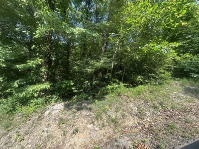 /international/us/lot-49-rock-springs-road-celina-tn-110100723362/?lang=zh-cn