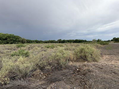 /international/us/winery-road-bosque-nm-110101094453/