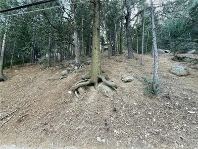 /international/us/0-scenic-view-crestline-ca-110105288886/