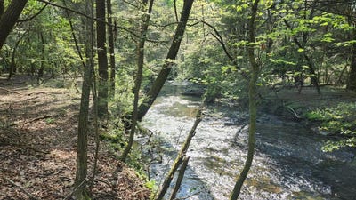 /international/us/0-old-holy-water-road-tracy-city-tn-110099159803/