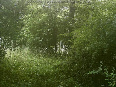 /international/us/wells-lock-road-elizabeth-wv-110100893540/