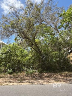 /international/us/gulf-avenue-lot-764-orange-beach-al-110107316497/