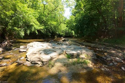 /international/us/9-roby-fulk-road-pinnacle-nc-110108281670/