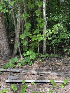 /international/us/-b-ogle-lane-sevierville-tn-110119990554/