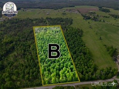 /international/us/river-j-5-parcel-b-lane-cornell-mi-110108915339/