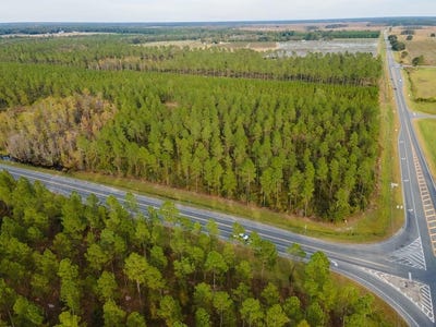 /international/us/31-acres-hwy-221-lakeland-ga-110102648784/