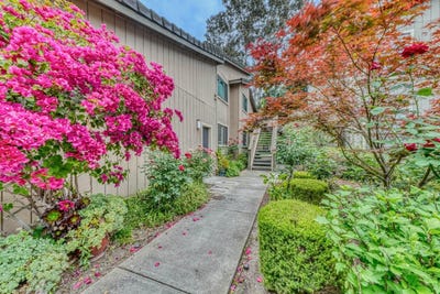 /international/us/195-del-monte-ln-morgan-hill-ca-110107760982/
