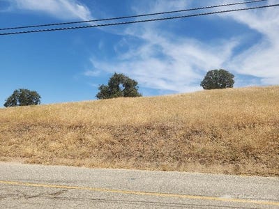 /international/us/0-corner-mustang-buckskin-tehachapi-ca-110101302835/?lang=zh-cn