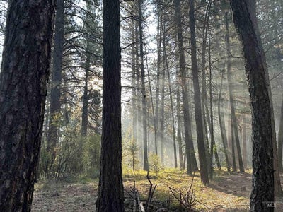 /international/us/5-fairchild-way-idaho-city-id-110108573997/