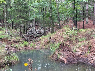 /international/us/5-ecfij-martin-trail-moyers-ok-110108096171/