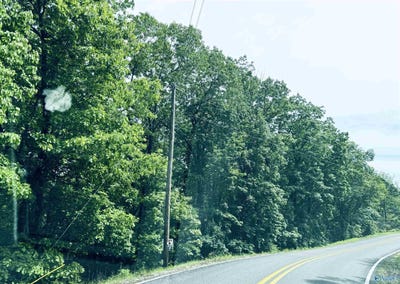 /international/us/3385-county-road-70-leesburg-al-110091723050/?lang=zh-tw
